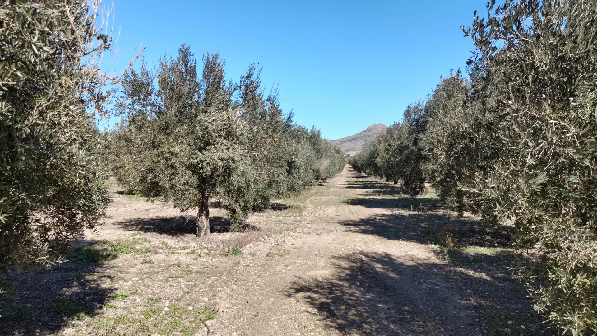 Terrenys i solars en venda a Calle Baja