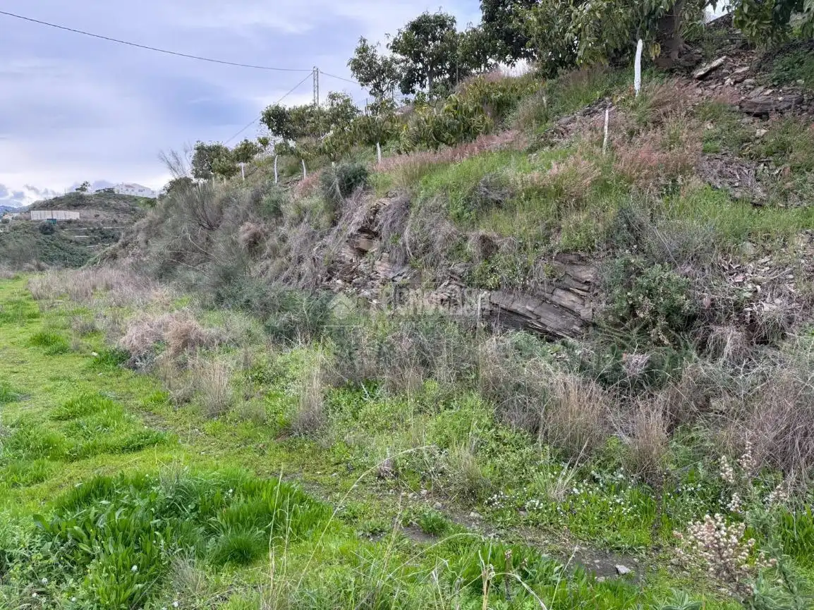 Terreny rústic en venda a Vélez-Málaga ciudad, imagen 5