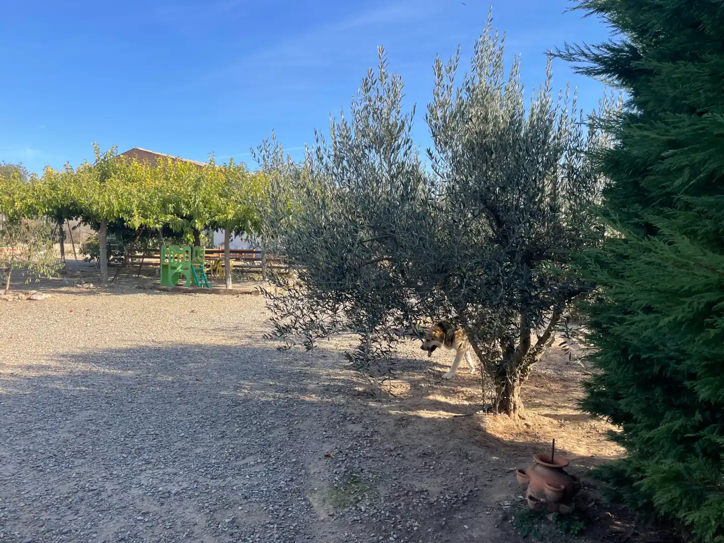 Casa o chalet en venta en Carrer Algerri, 25, Castelló de Farfanya