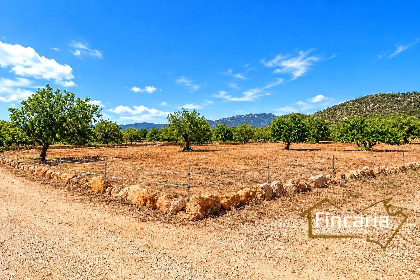 Country homes for sale in Marratxinet