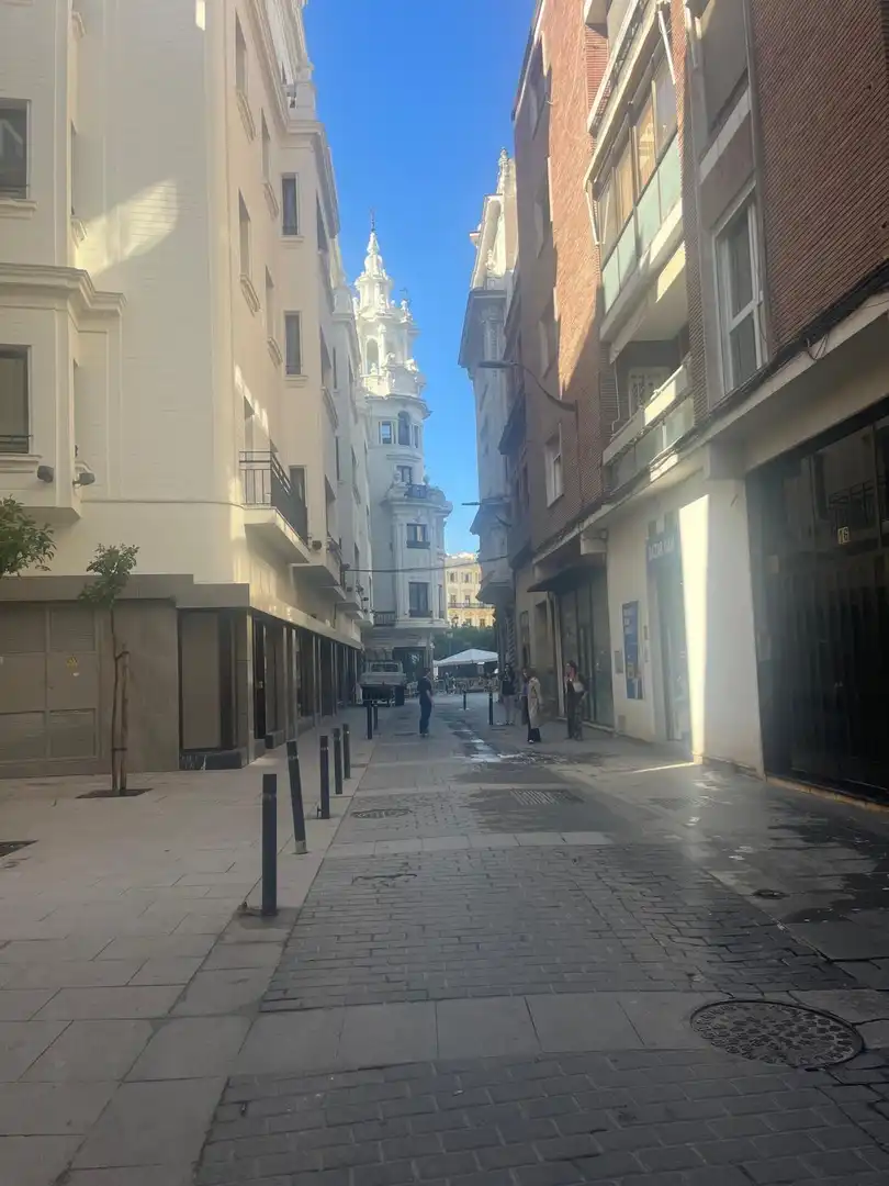 Wohnungen zur Miete in Zona Centro