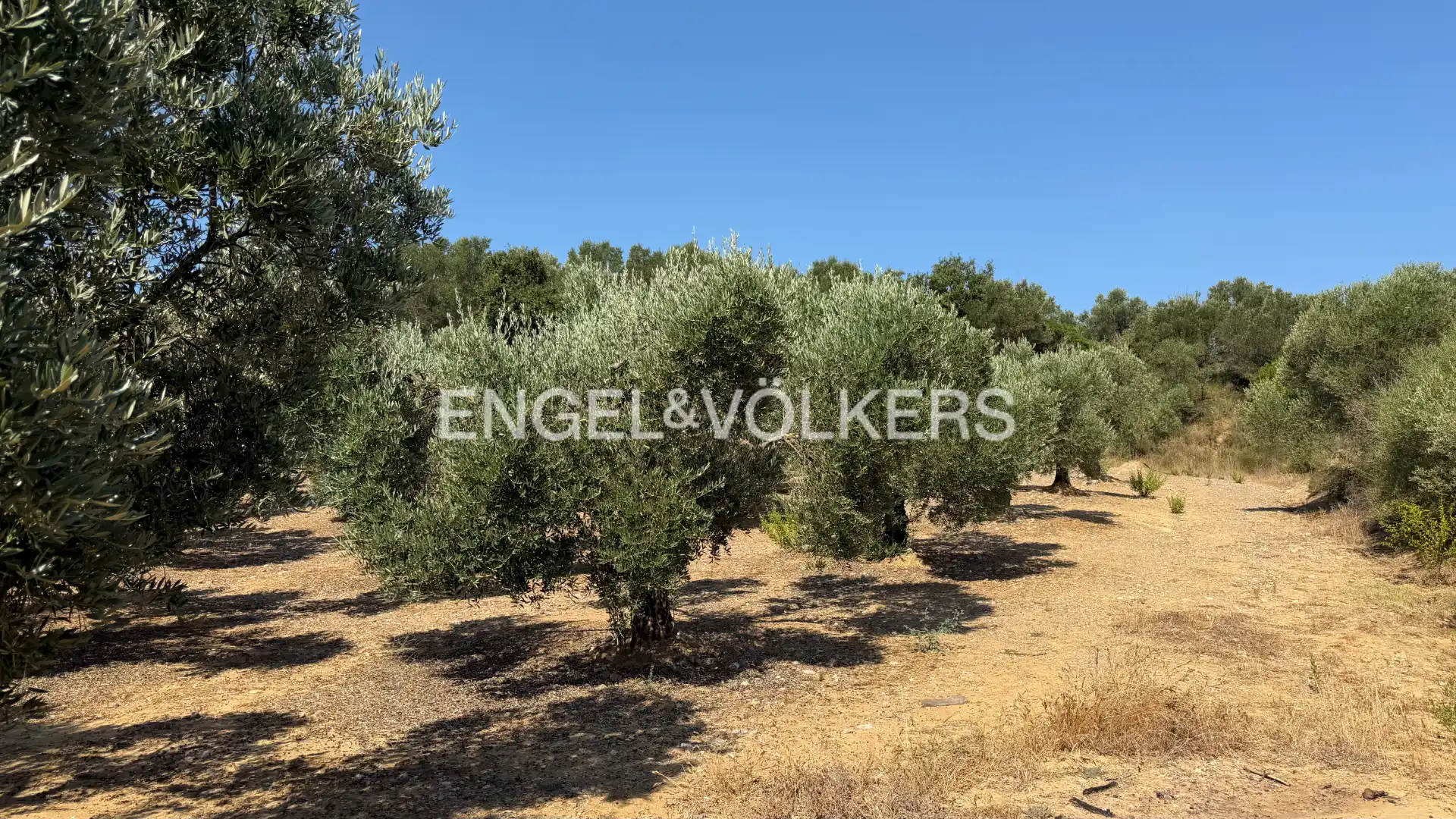 Land for sale in Pedret i Marzà