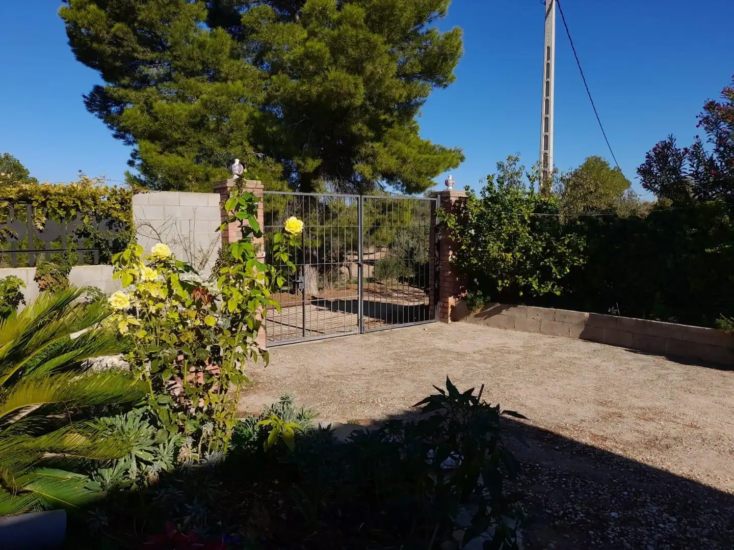 Jardí de Casa o xalet en venda en Flix amb Jardí privat, Terrassa i Traster