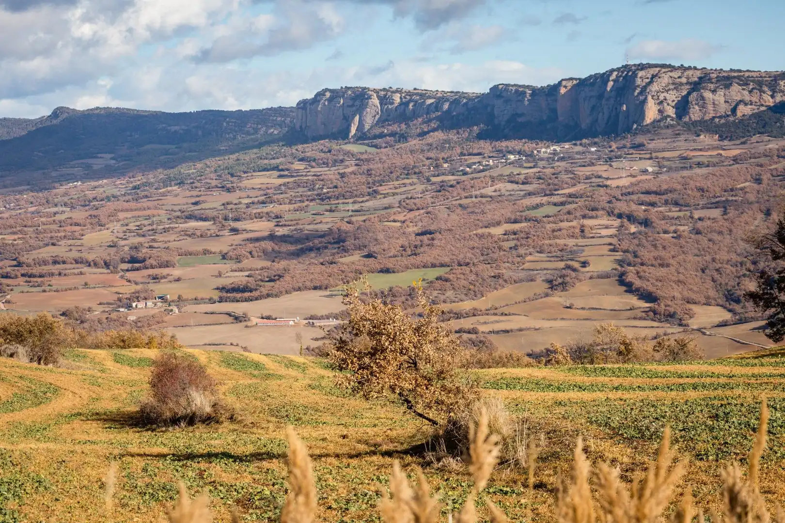 Finca rústica en venta en Camino carretera Estavill, La Torre de Cabdella