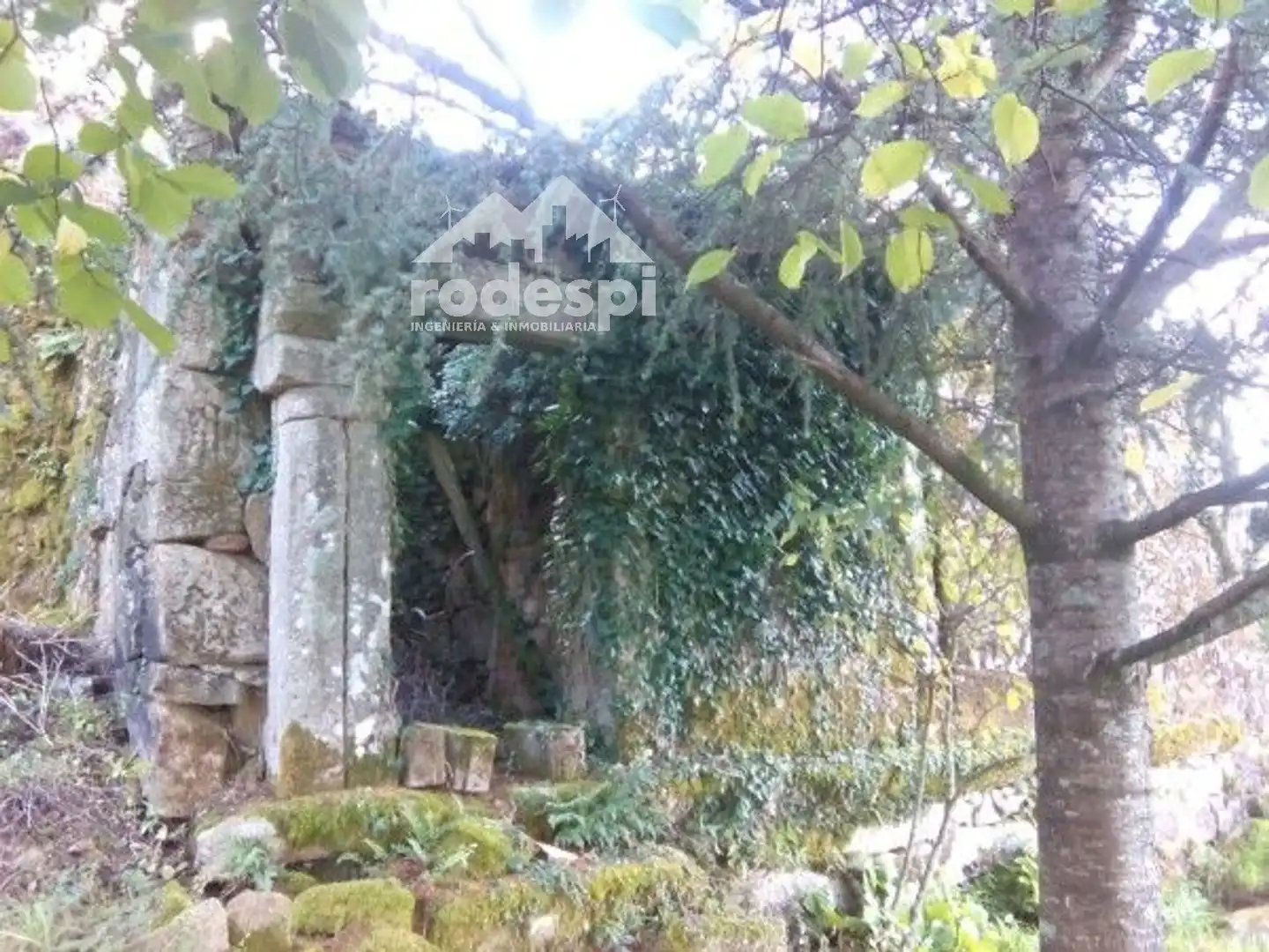 Casa in vendita a Covelo, imagen 27