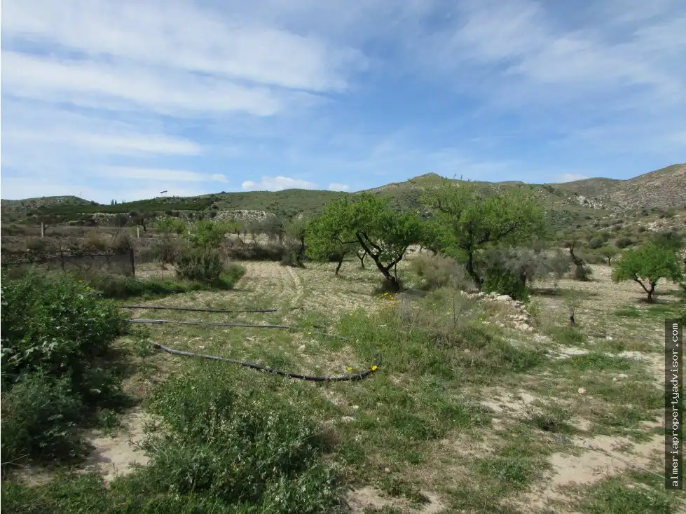 Country house for sale in Sorbas, imagen 10
