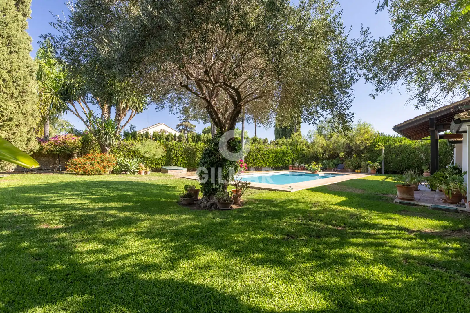 Jardí de Casa o xalet en venda en Tomares amb Calefacció, Jardí privat i Piscina