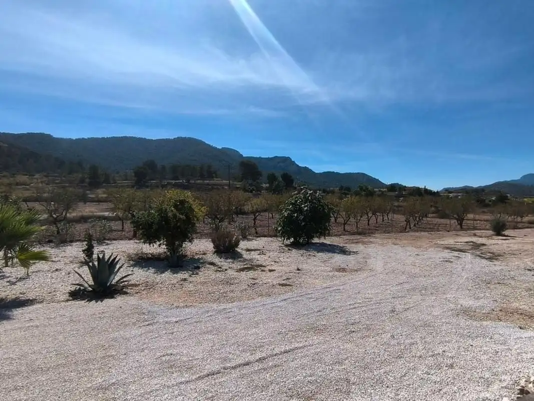 House for sale in El Pinós / Pinoso, imagen 28