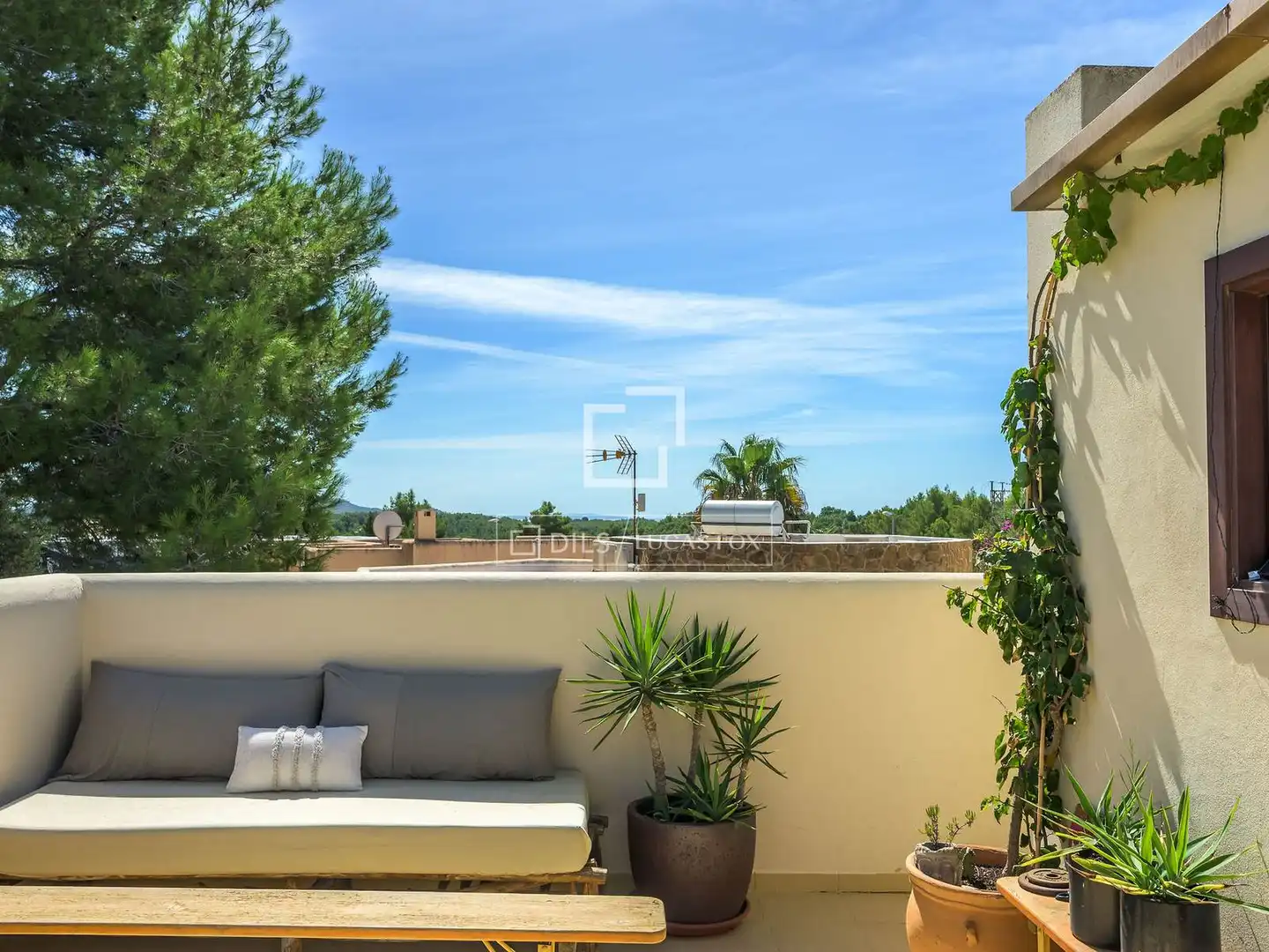 Wohnung mit Terrasse zum Verkauf in Santa Gertrudis, imagen 3