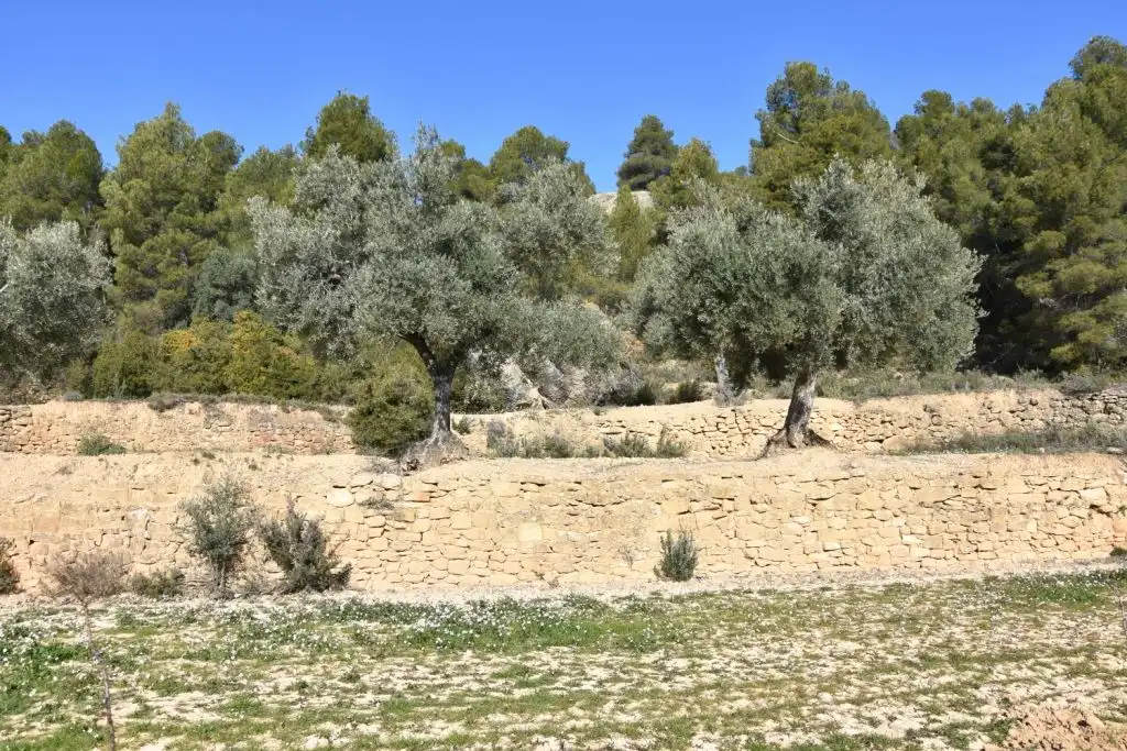 Country homes for sale in La Fresneda