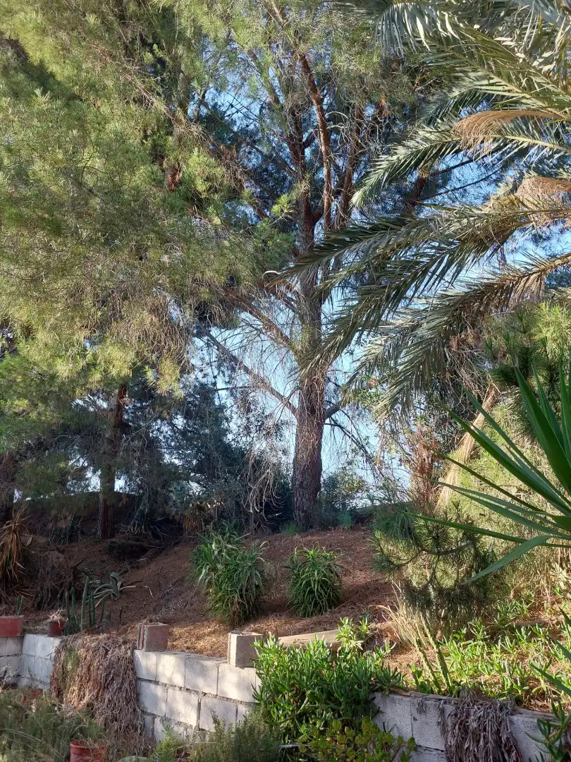 Country homes for sale in Partaloa