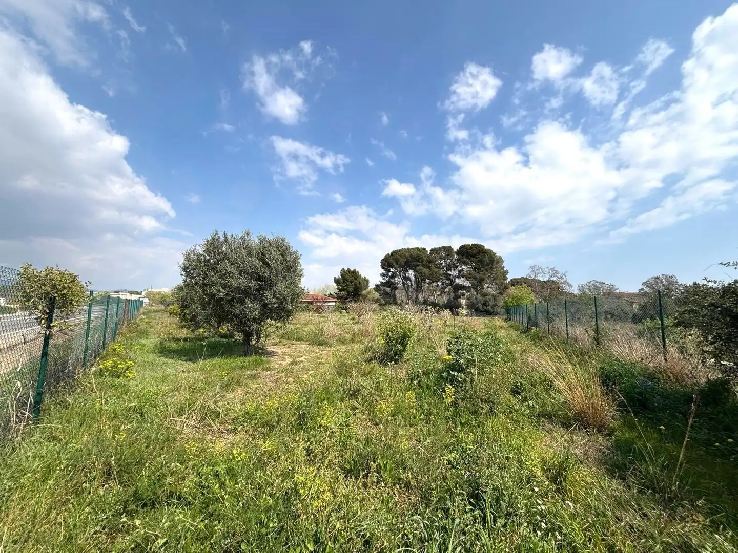 Rural land for sale in Santa Oliva, imagen 20