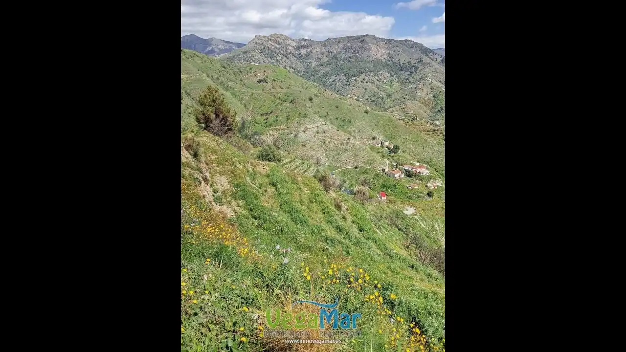 Vista exterior de Finca rústica en venta en Almuñécar