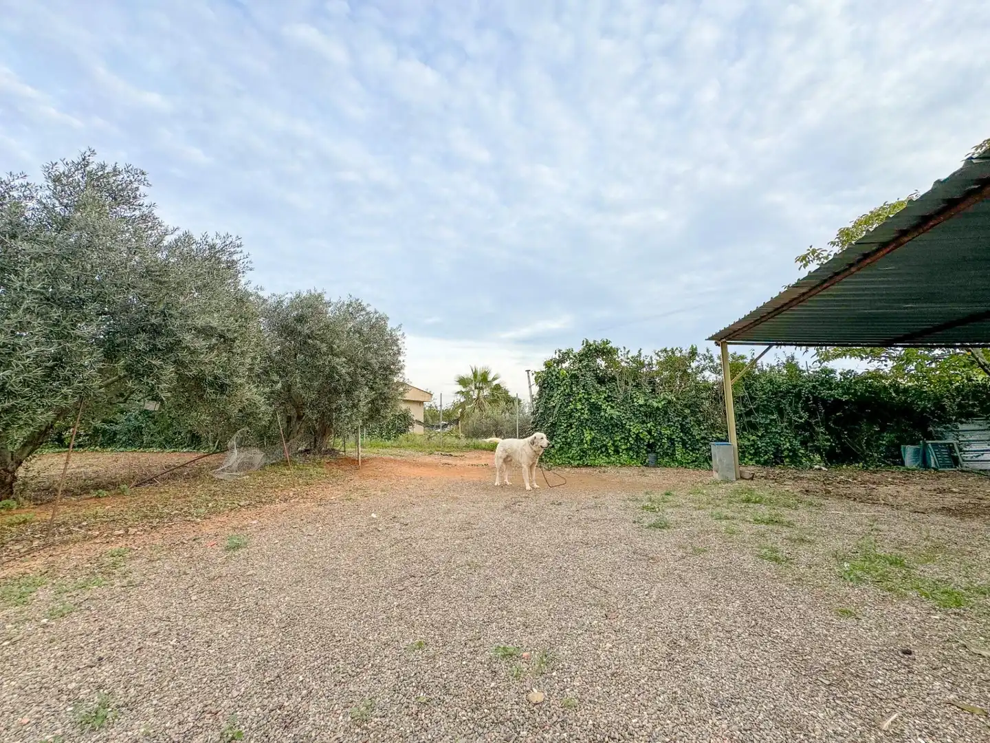 Finca rústica en venda a BURGAR DEL, 40, Riudoms