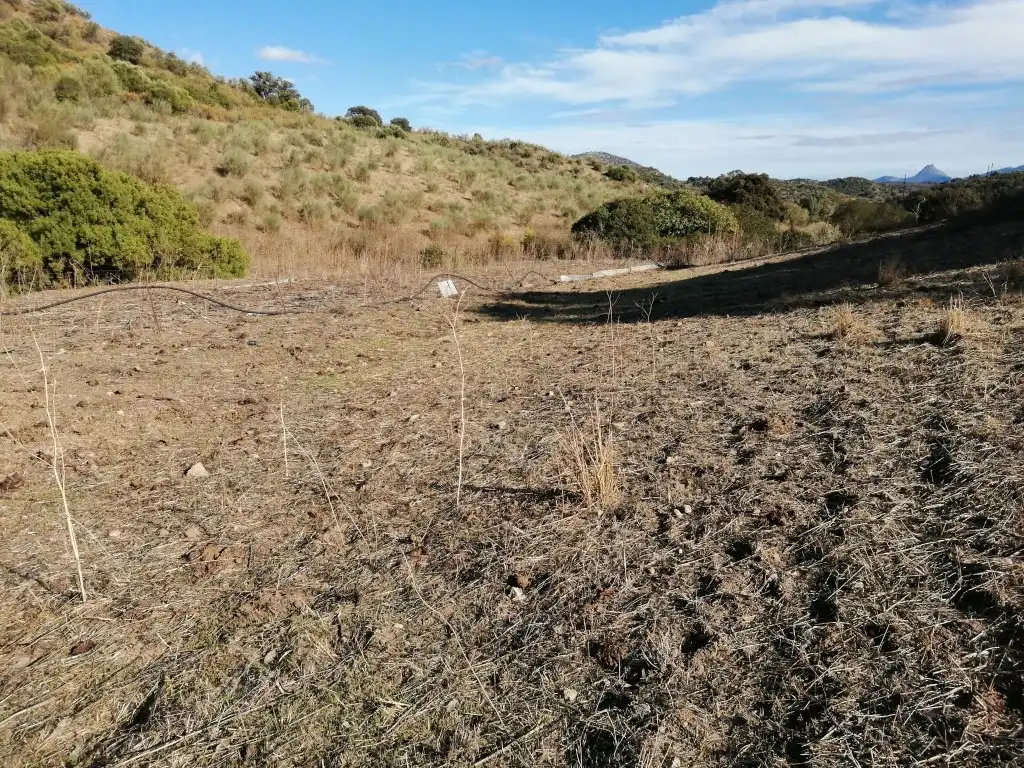 Residential for sale in Morón de la Frontera