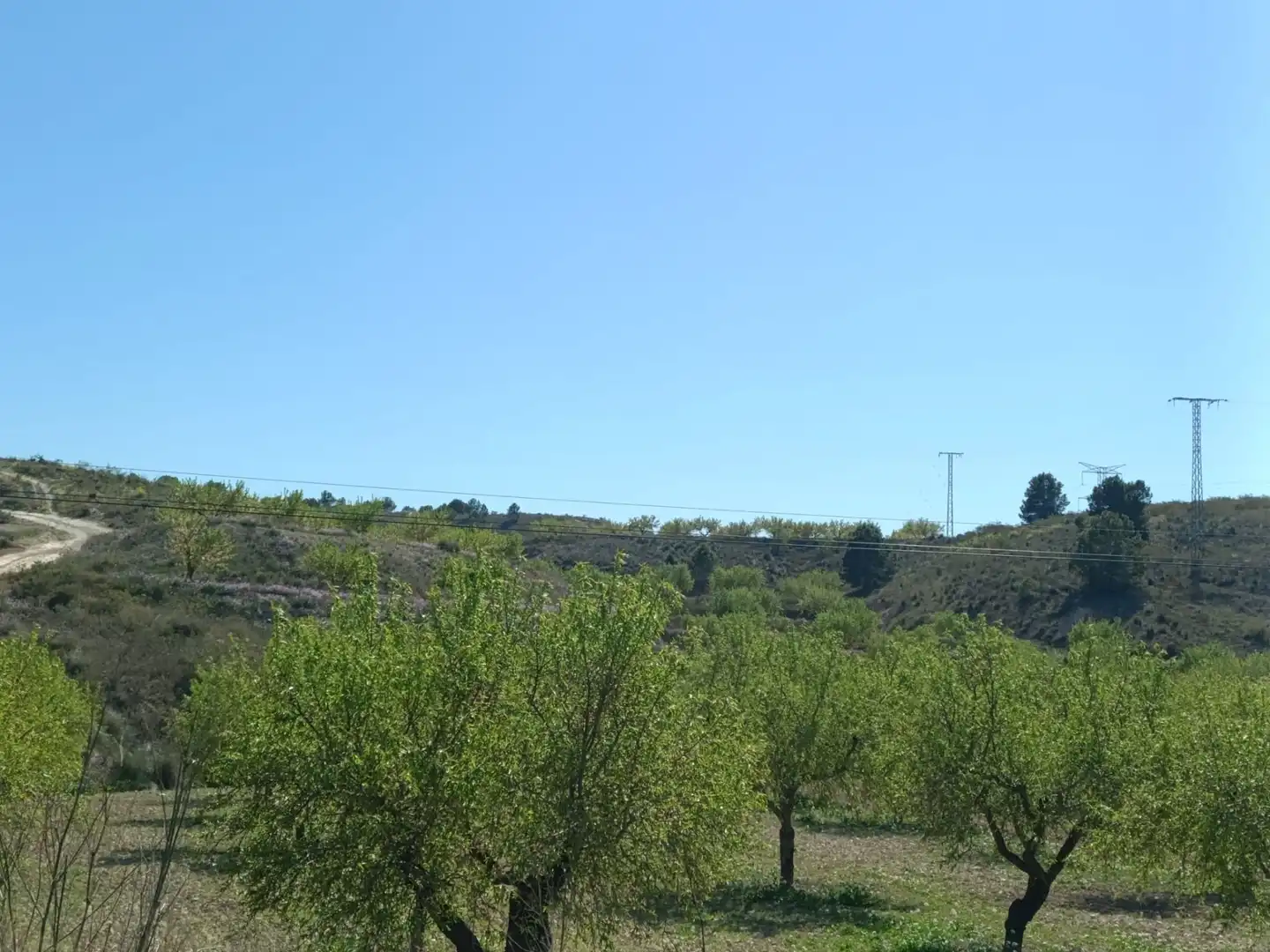 Terreny rústic en venda a Pedanías Oeste, imagen 5