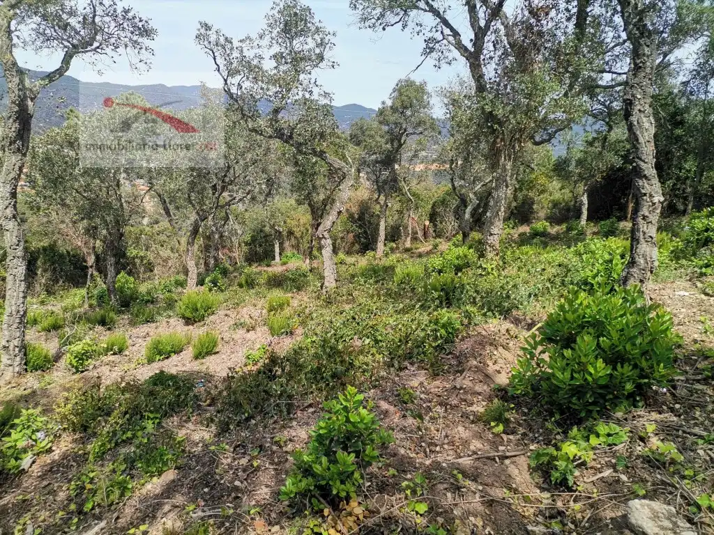 Terreno residencial en venta en Calle Avets 7