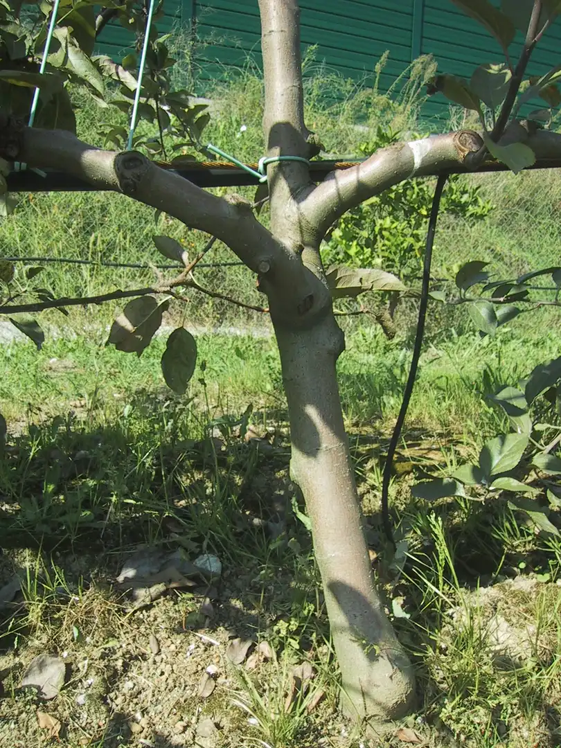Garden of Land for sale in Donostia - San Sebastián 