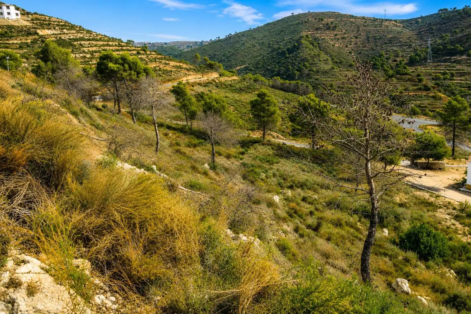Wohnbaugrundstück zum Verkauf in La Empedrola