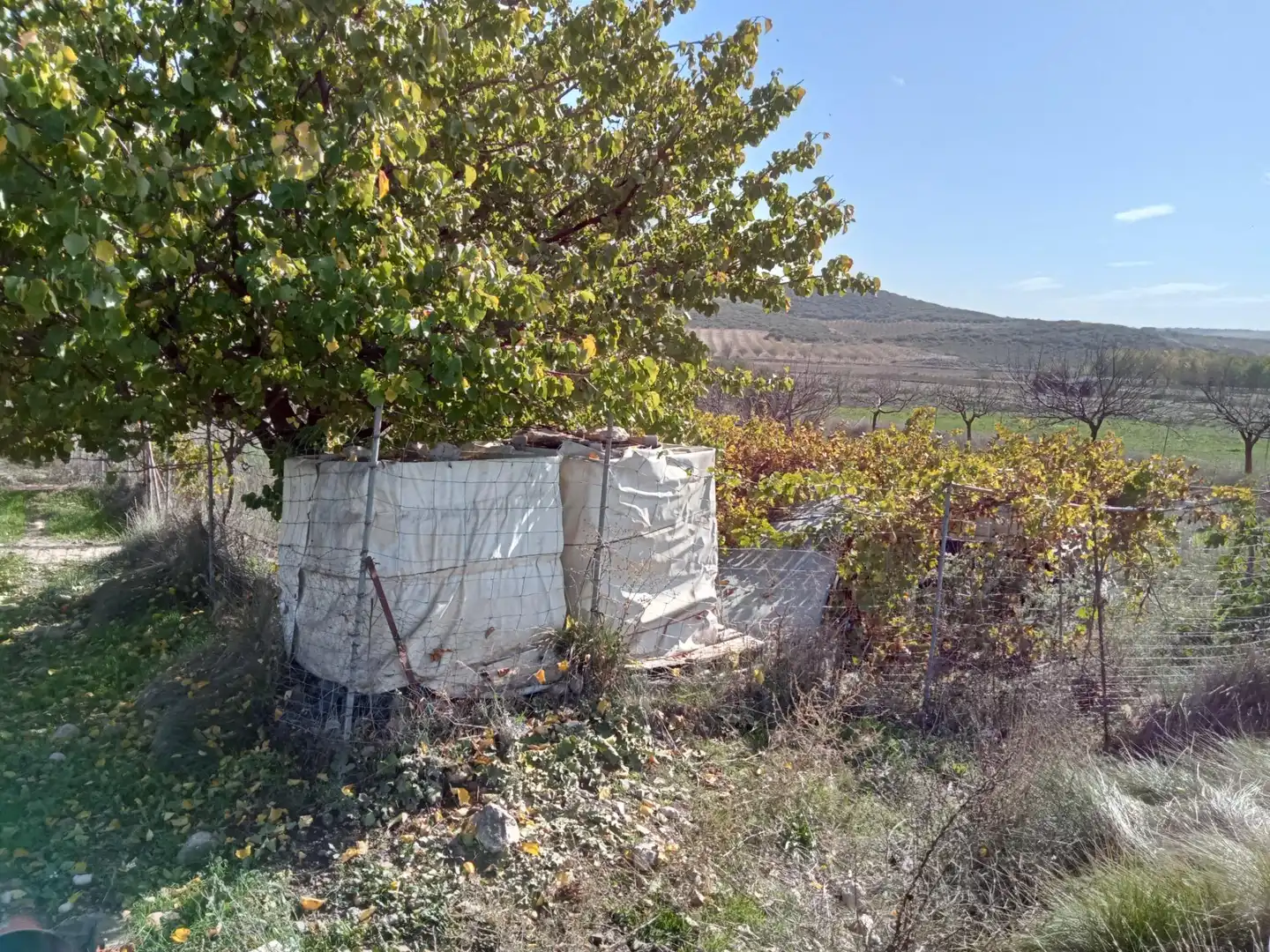 Casa o xalet en venda en Lezuza