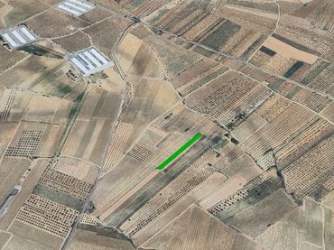 Terreno rustico in vendita a Pl 13