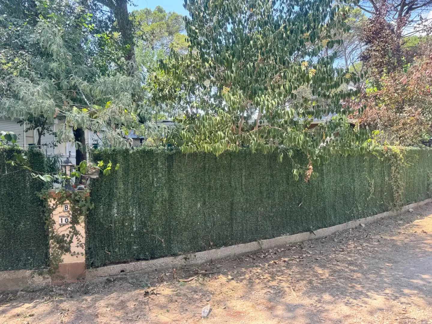 Jardín de Casa o chalet en venta en Sant Celoni