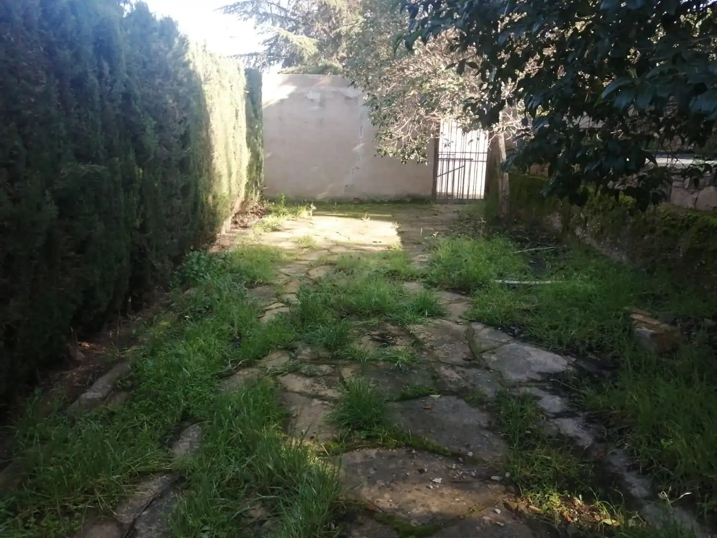Jardí de Casa o xalet en venda en Tàrrega amb Jardí privat, Terrassa i Traster