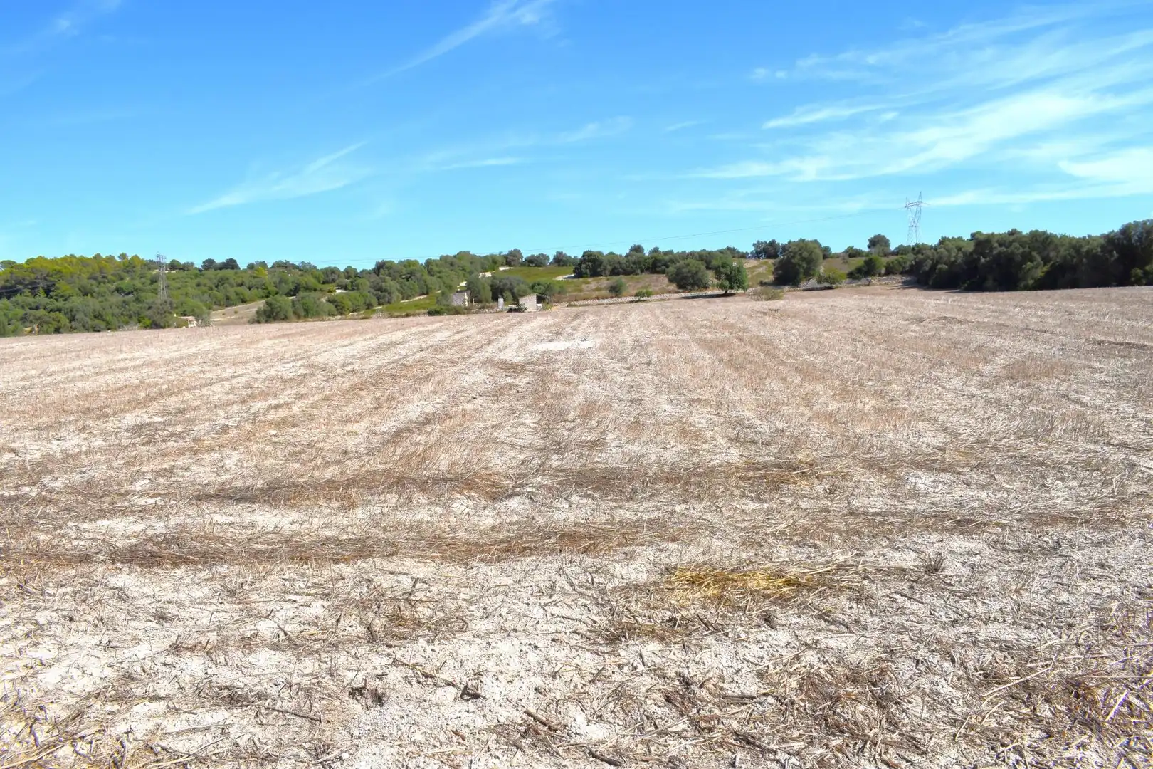 Terreny residencial en venda a Llubí, imagen 11