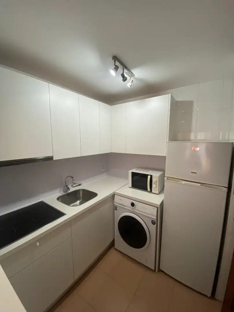 Kitchen of Apartments for rent in Málaga  with Air Conditioner, Terrace and Furnished