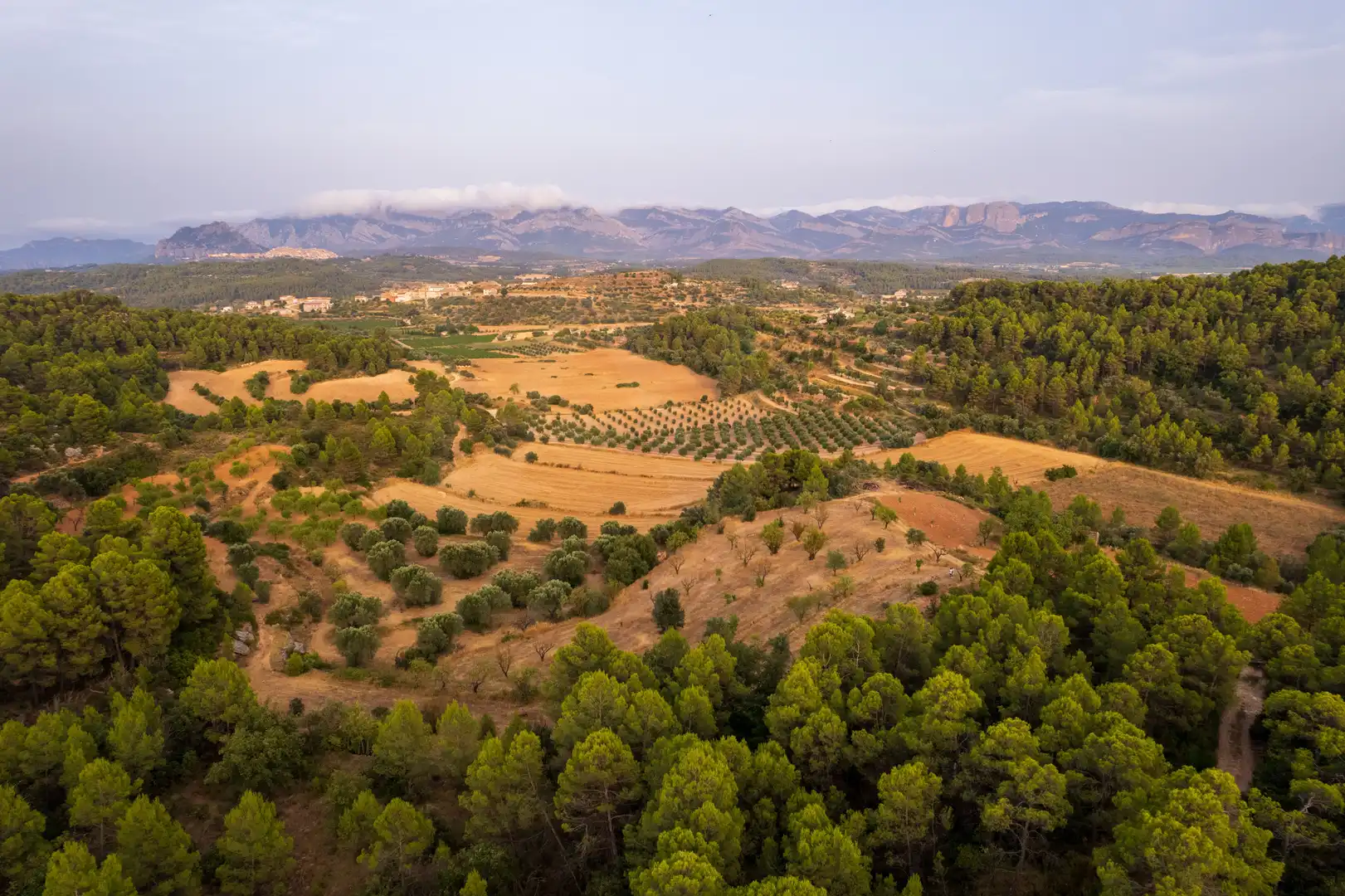 Terreni e lotti in vendita a Lledó, imagen 7