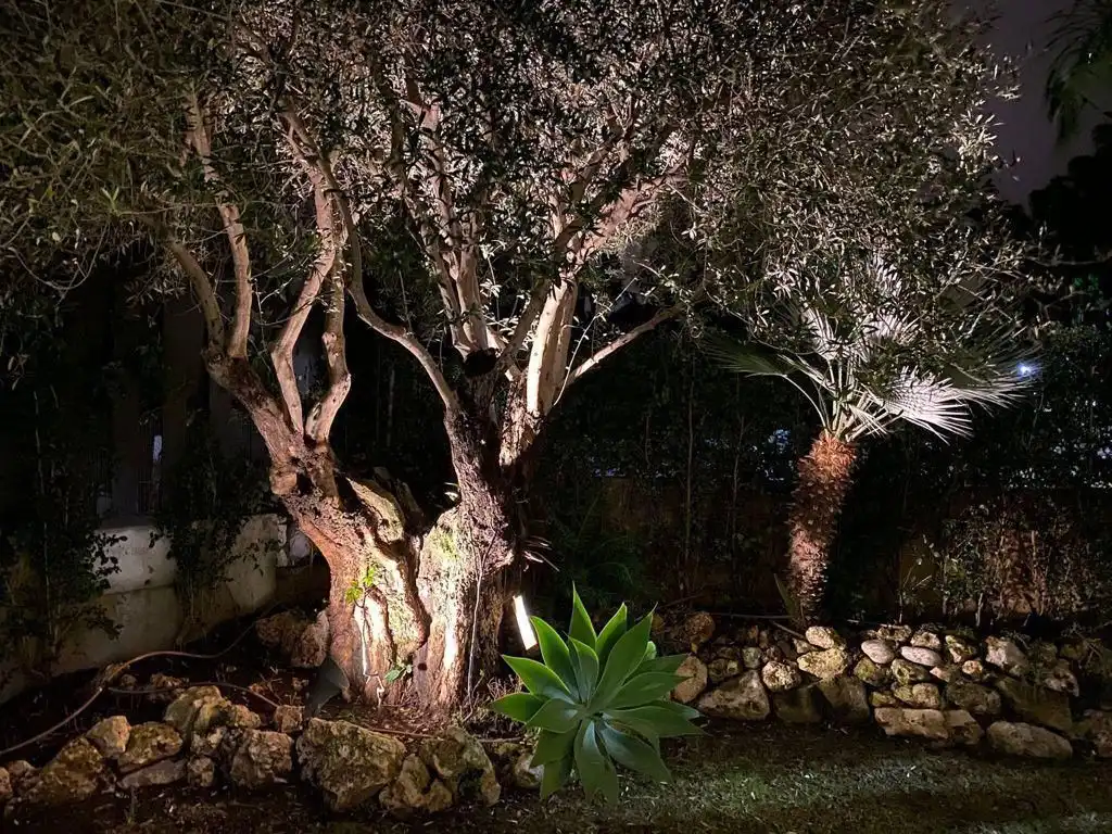 Jardí de Casa o xalet de lloguer en Marbella amb Aire condicionat, Calefacció i Jardí privat