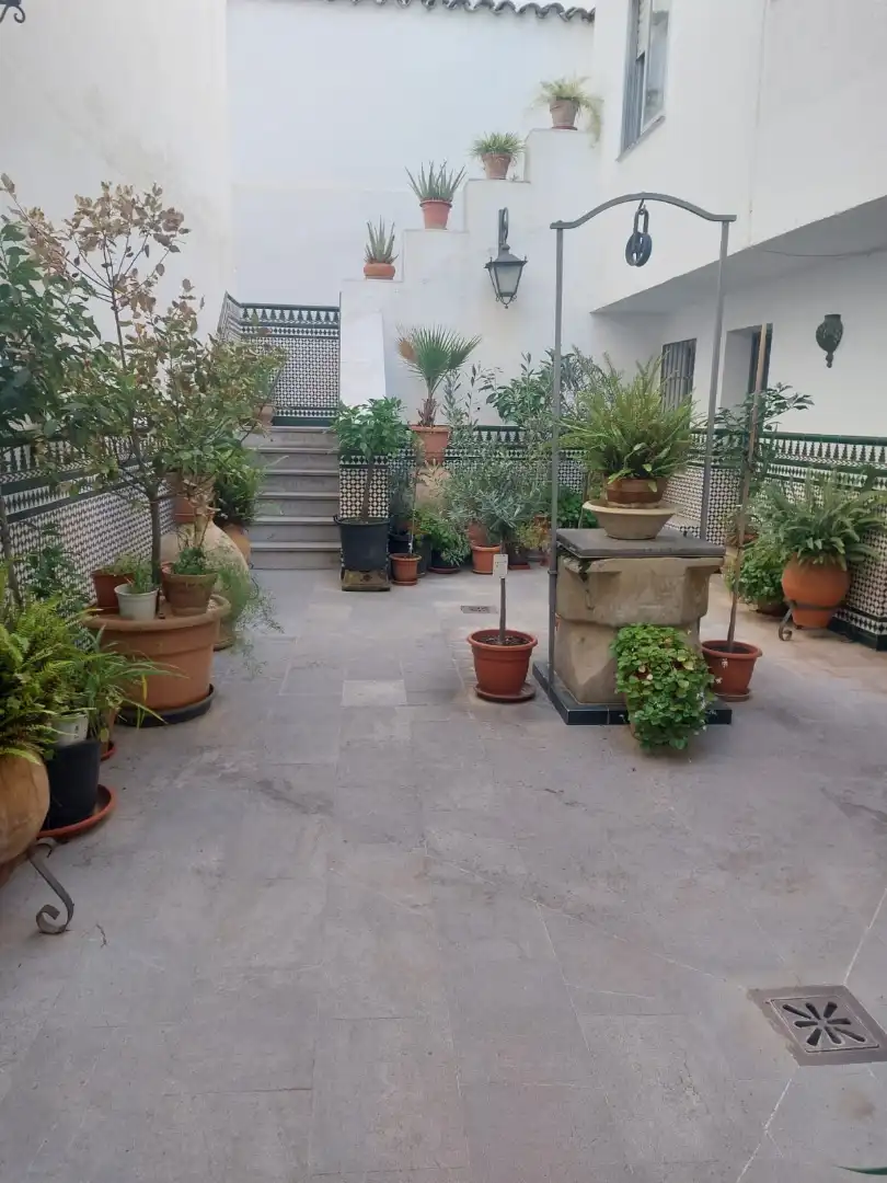 House with terrace for sale in Calle Alaminos, imagen 25