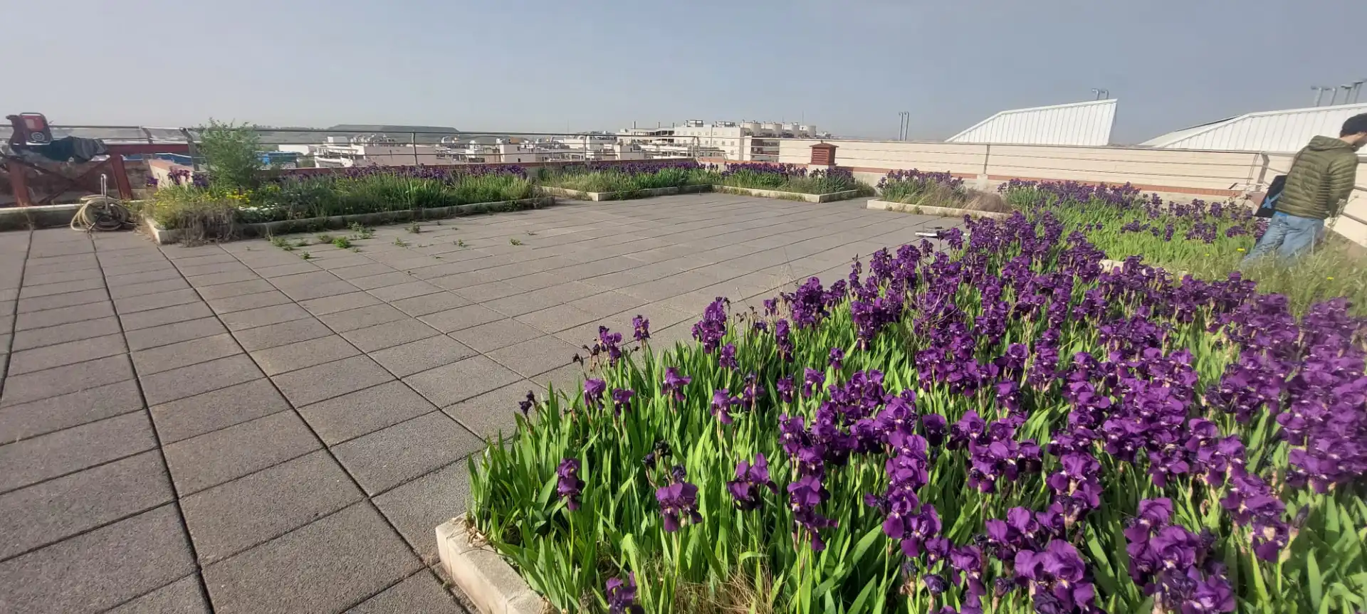 Terrasse von Gebäude zur Miete in Madrid mit Alarm