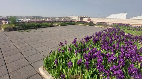 Foto 4 von Gebäude zur Miete in Ensanche de Vallecas - La Gavia, Madrid Capital