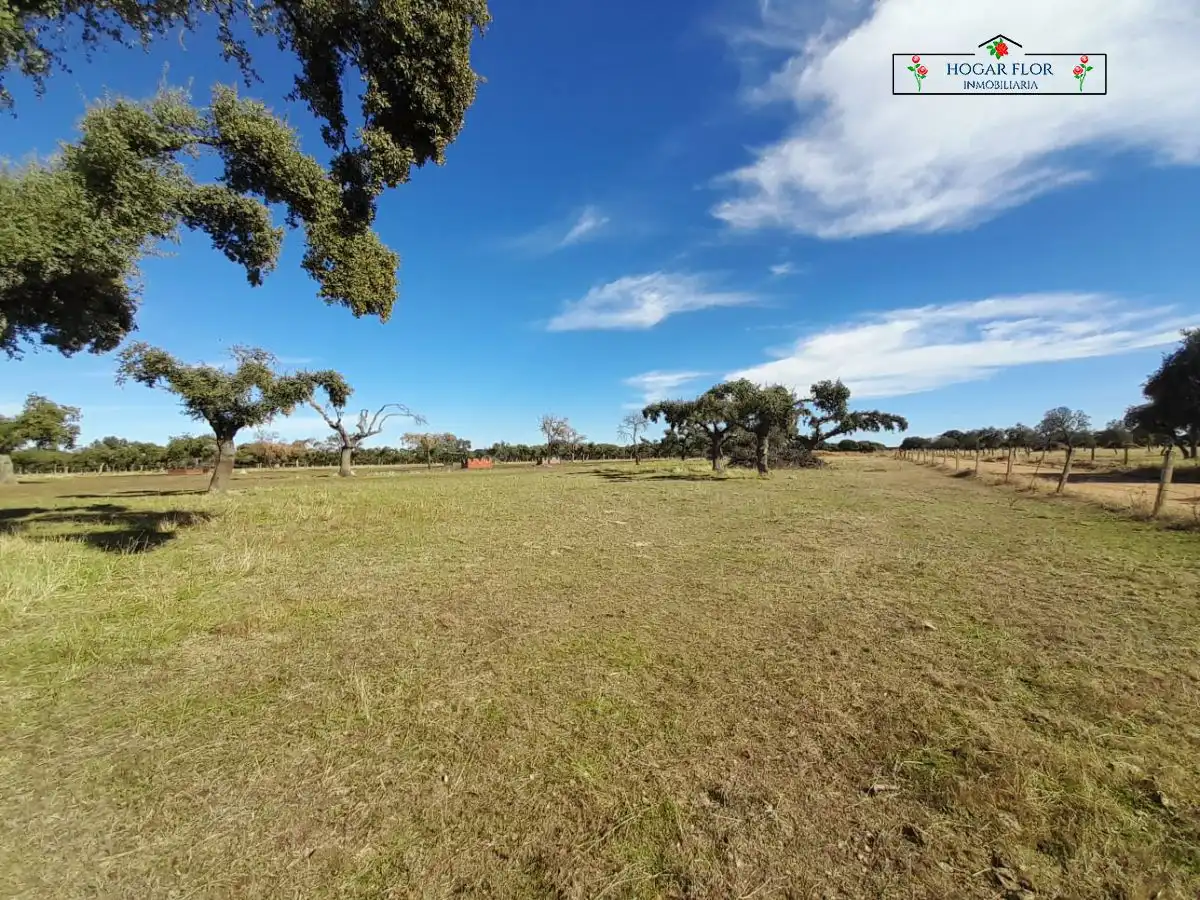 Finca rústica en venta en Carrascal del Obispo