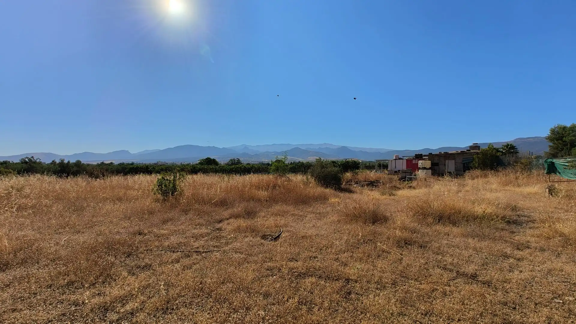 Terreno rustico in vendita a Aljancira, imagen 22