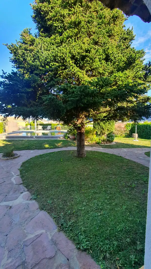 Jardín de Casa o chalet en venta en L'Alcúdia de Crespins con Piscina