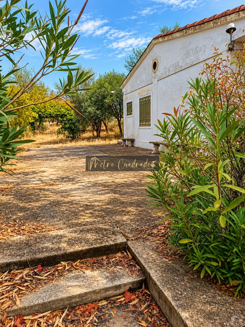 Casa con balcone in vendita a Don Álvaro, imagen 6