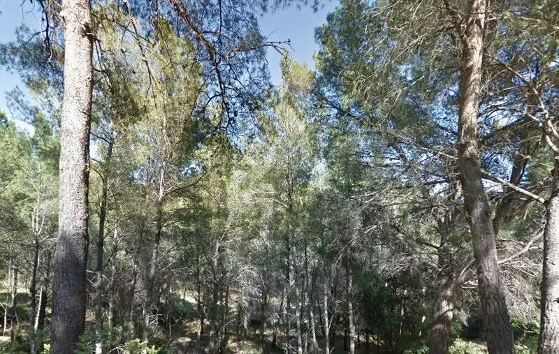Terreno residencial en venta en REFUGIO
