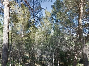 Terreno residencial en venta en REFUGIO