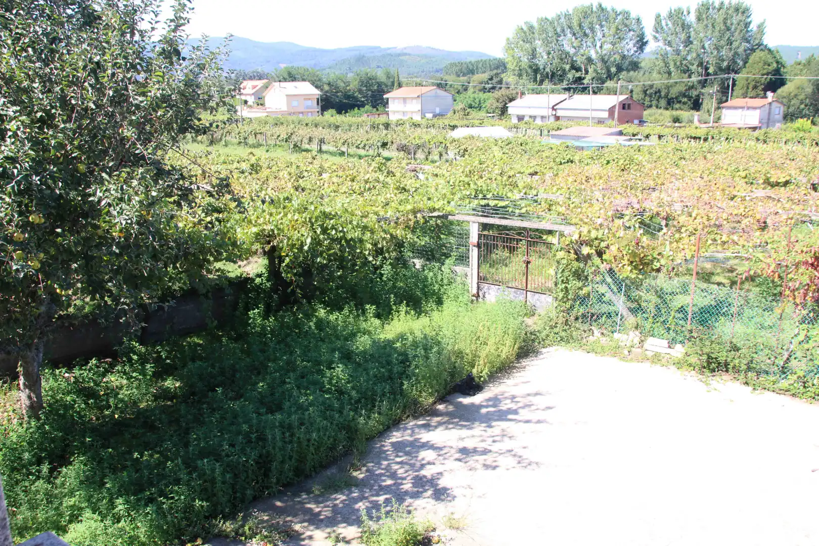 House with garden for sale in Lugar Forno, imagen 32