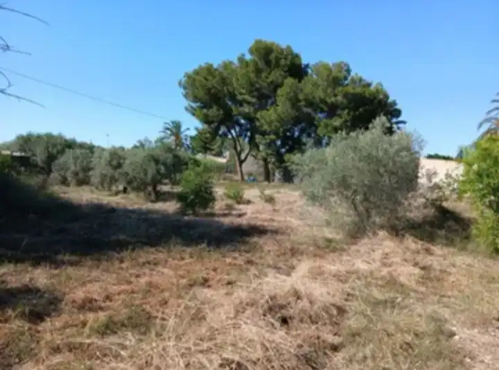 Casa o xalet en venda en Elche / Elx amb Terrassa
