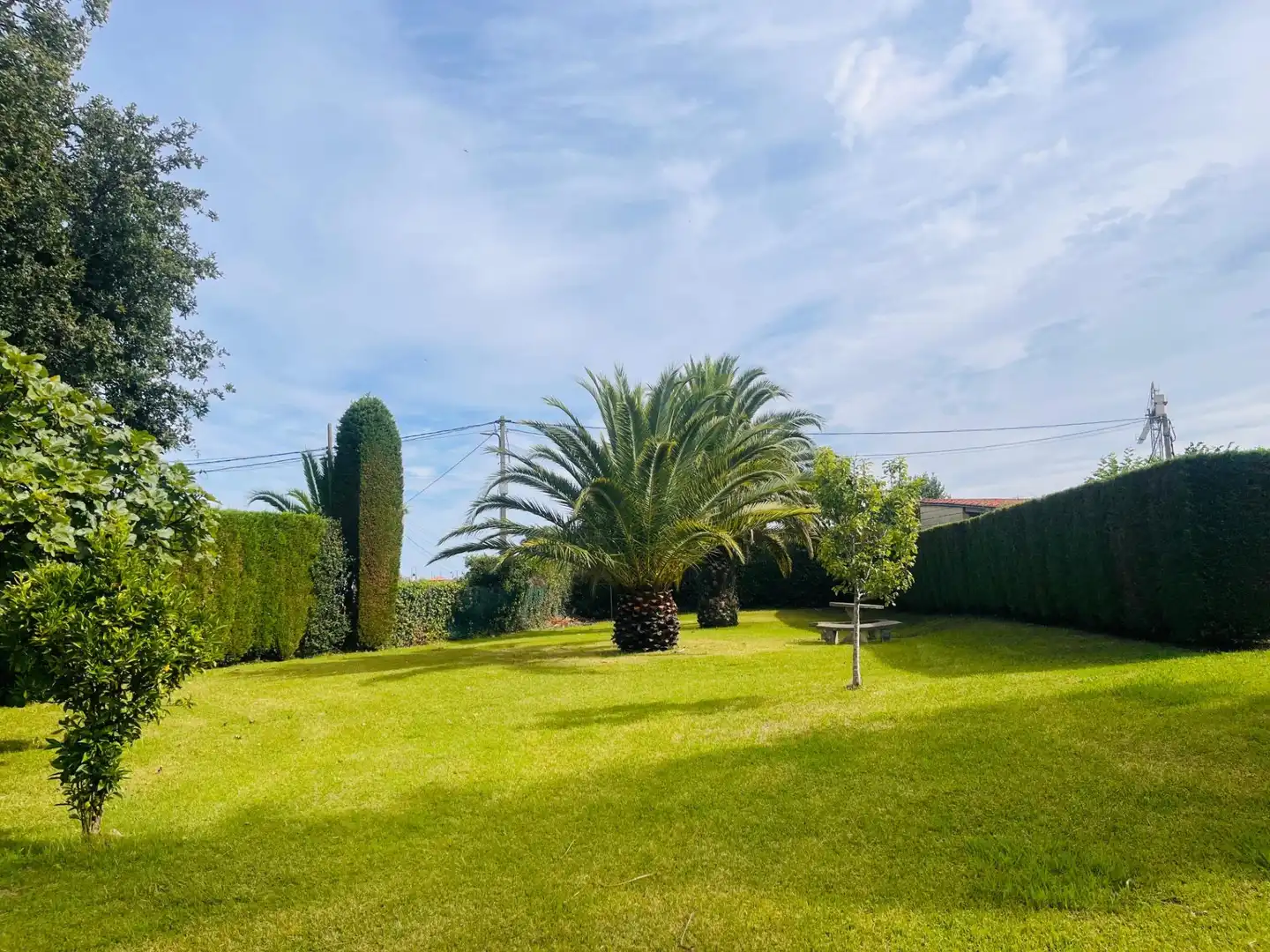 Chalet con piscina en venta en Calle DOCTOR FLEMING 34, imagen 31