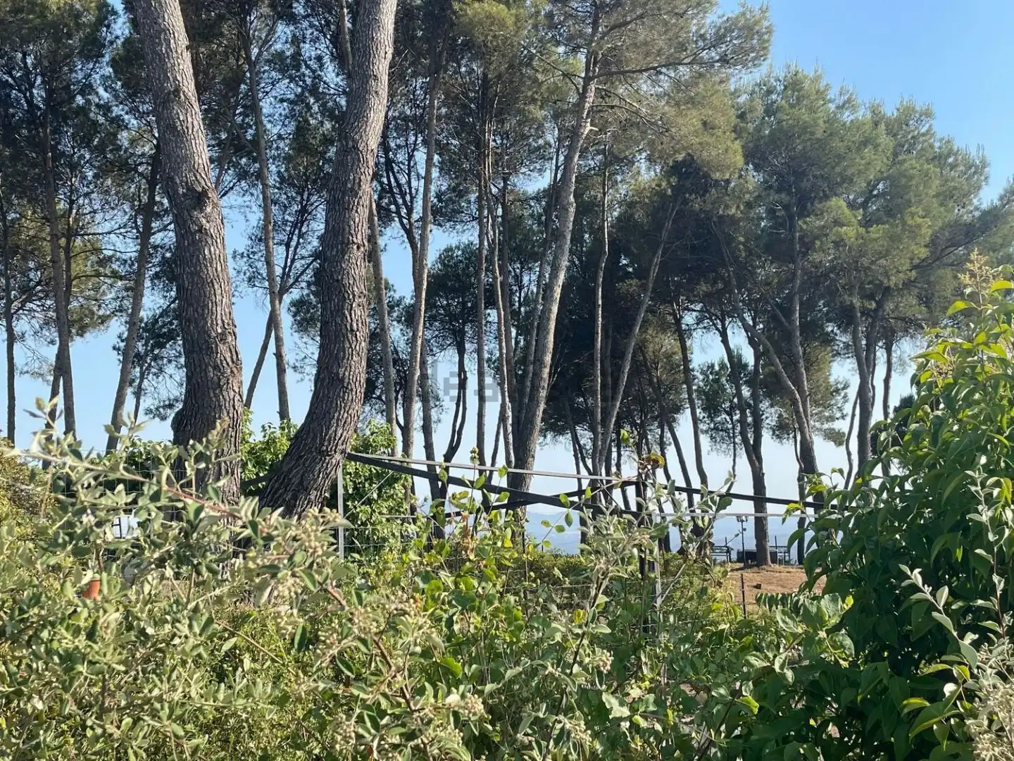 Residential land for sale in dels Avets 36, imagen 15