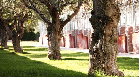 Photo 4 of Land for sale in Calle del Parque Rivas, 24p, Rivas Futura, Rivas-Vaciamadrid