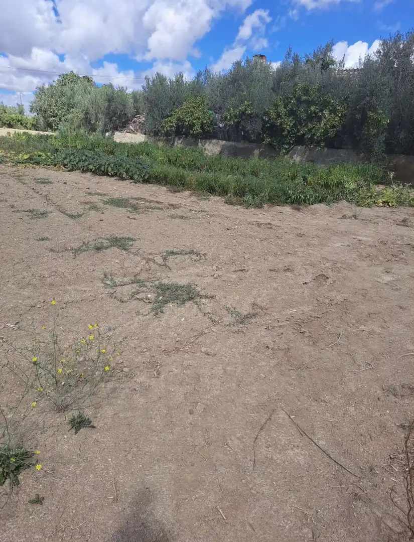 Rustikales Grundstück zum Verkauf in Guadix, imagen 7