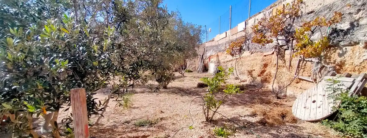 Terreno rustico in vendita a Arico, imagen 24