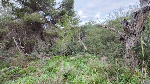 Photo 5 of Residential for sale in Carrer la Morena, 24, Cala Advocat - Baladrar, Alicante