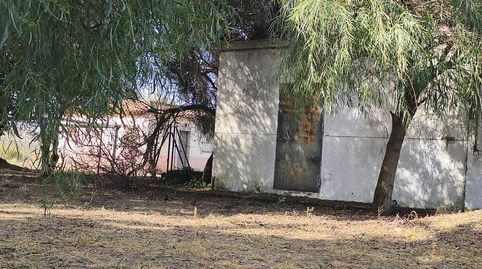 Foto 3 de Finca rústica en venta en Chipiona Norte, Chipiona