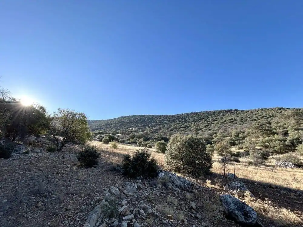 Finca rústica en venta en Colomera con Calefacción, Terraza y Piscina